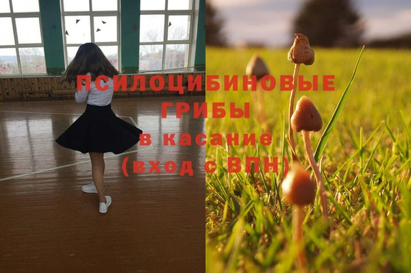ГАЛЛЮЦИНОГЕННЫЕ ГРИБЫ Алзамай