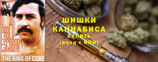 мет Арсеньев