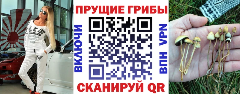 Псилоцибиновые грибы Cubensis  Ноябрьск 